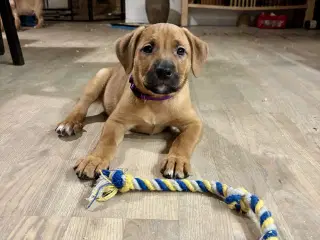 FamilyGuardianMix - Love bombs 🩶💣