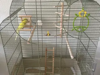 Undulat med alt tilbehør 