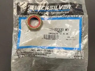 Quicksilver Nut