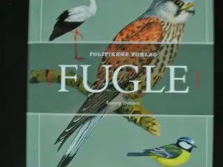 fugle, Af tommy dybbro, emne: dyr