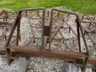 Spidsharve