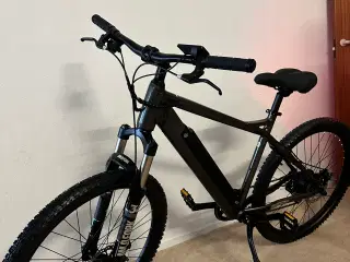 El cykler 250 w