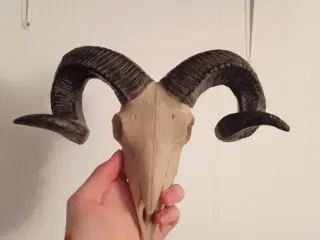 Vædder væg ophæng