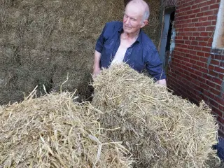 Hø rigtig godt