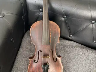 Violin