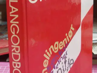 Politikens Slang ordbog