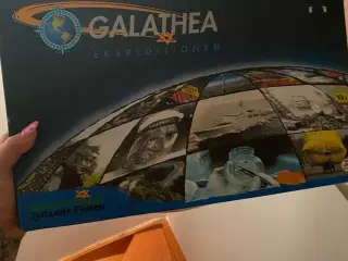 Galathea ekspeditionen