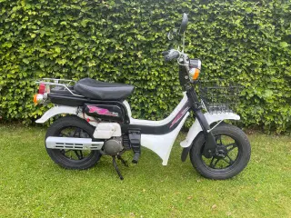 Suzuki fz50