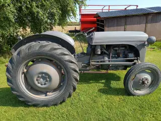 Ferguson 26