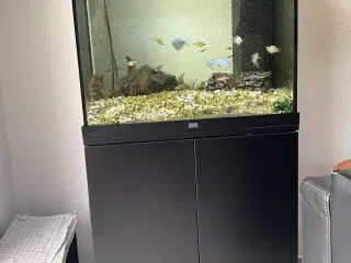 Juwel Lido 120L 