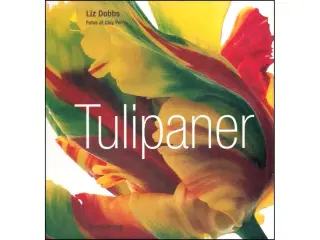 Tulipaner