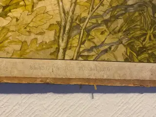 Anskuelsestavle svensk forårsnatur