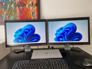 2 stk. 24" Dell computer skærme