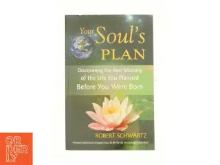 Your Soul&#39;s Plan af Robert Schwartz (Bog)