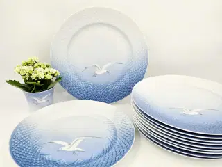 Mågestel Dækketallerken uden guldkant Porcelæn 