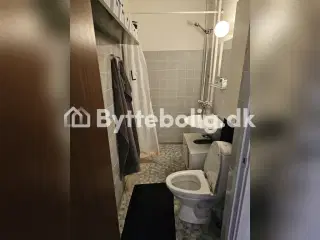 SØGER LEJLIGHED I MÅLØV