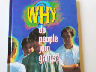 Why Do People Join Gangs? Af Julie Johnson