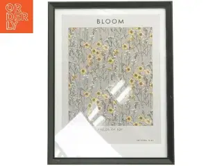 Bloom plakat med ramme (str. 43x33 cm)