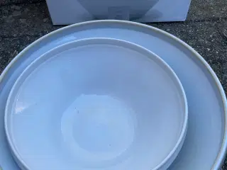 Knabstrup fade