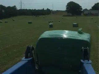 Wrap 