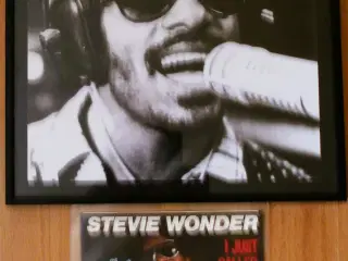 NY-S.Wonder billed & I Just Call To Say I Love You