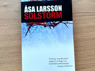 Solstorm af Åsa Larsson
