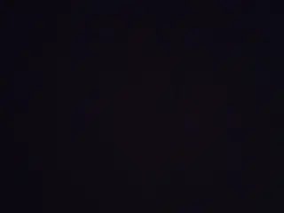 Søger påfugle ruge æg