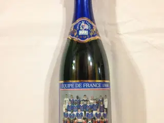 Mindevin fra VM 1998