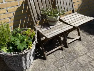 Café stole 