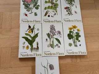 Nordens Flora leksikon 1-10