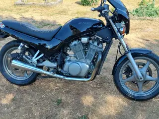 suzuki VX800