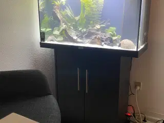 Juwel 125l med bord og tilbehør 