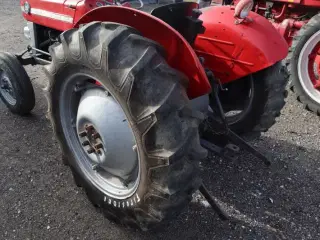 Massey Ferguson 135 - benzin