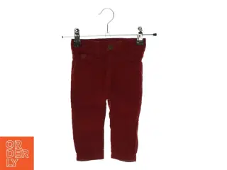 Fløjlsbukser fra Cheeky (Str. 62-70)