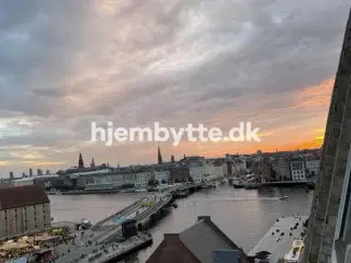 Hjembytte - Papirøen