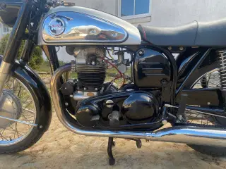 Norton dominator