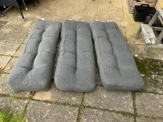 Her er de havehynder du altid står og mangler.....