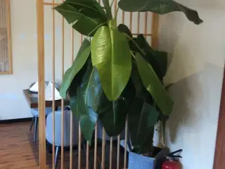 Kunstig plante