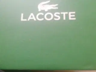 Werner phantom lampe søges