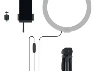 Ring light bundle 
