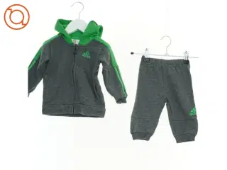 Sæt fra Adidas (str. 62 cm)