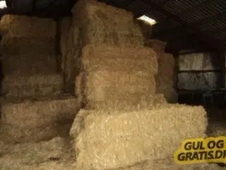 Byg halm