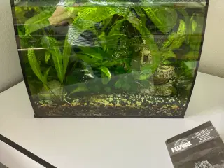 Fluval akvarie 