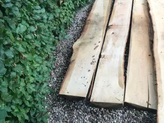 Egeplanker med bark på bagsiden - 