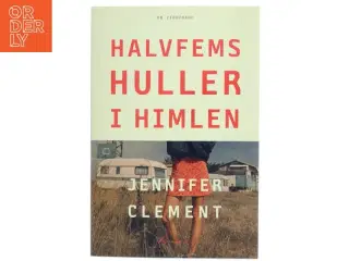 Halvfems huller i himlen : roman af Jennifer Clement (Bog)