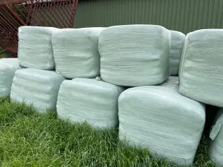 Wrap i minibig
