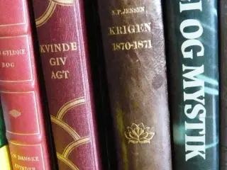 Krigen 1870-71 af N. P. Jensen