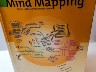 Visuel Mind Mapping Bog