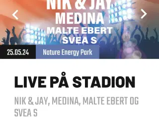 Koncert.  Live på stadion I Odense 