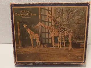 Gammelt klodspuslespil: Zoologisk Have, Kbh.